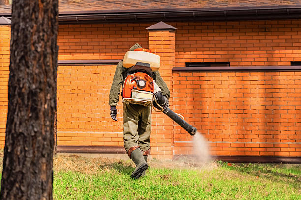 Bed Bug Clearance Verification and Documentation in La Blanca